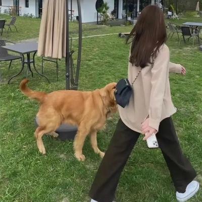 战栗时刻